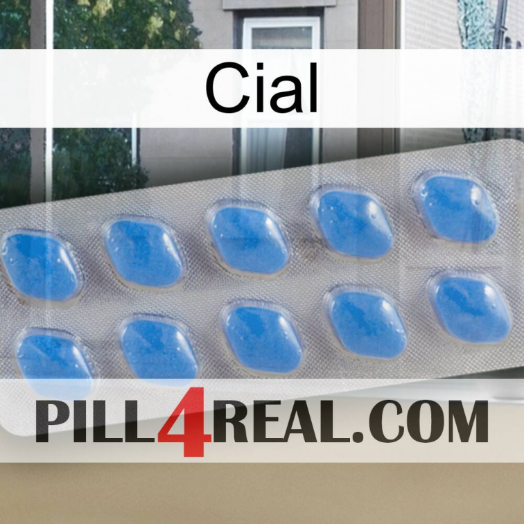 Cial 22